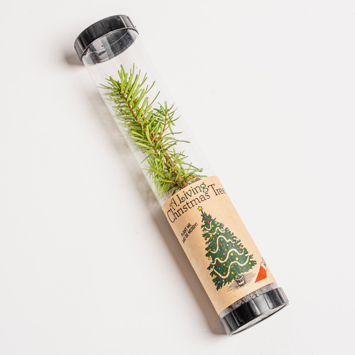 Merry and Bright Box