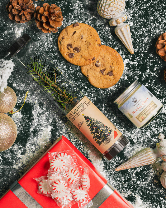 Mini Christmas in a Box