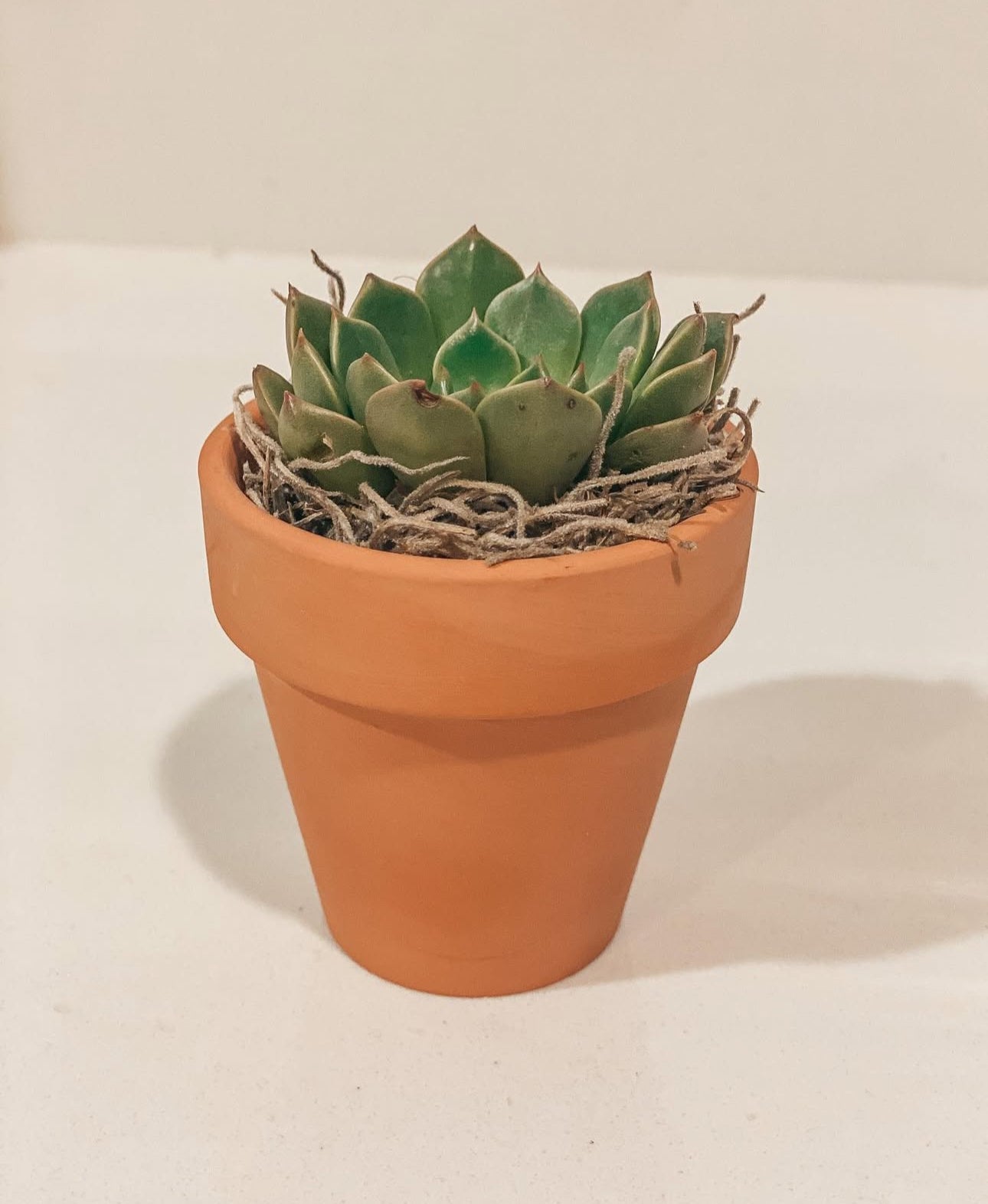 Cozy Sunshine Gift Box