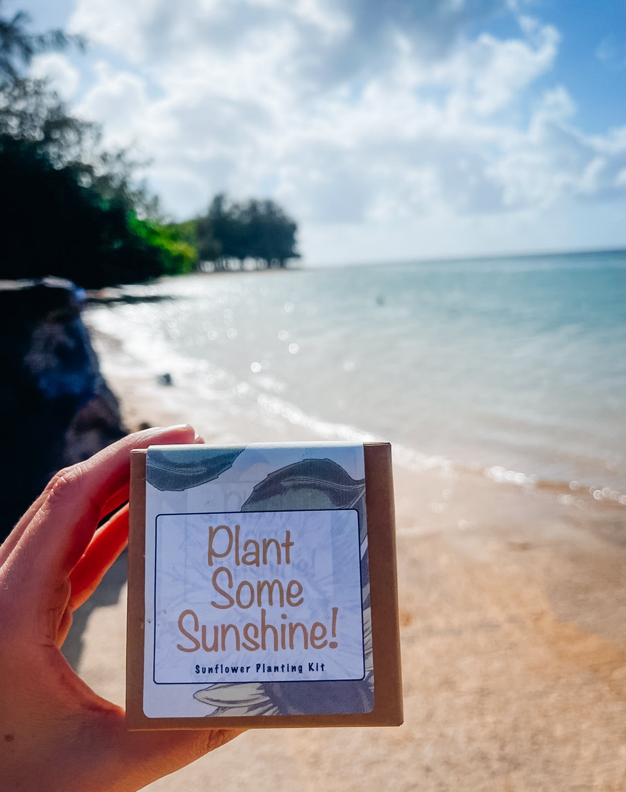 Cozy Sunshine Gift Box