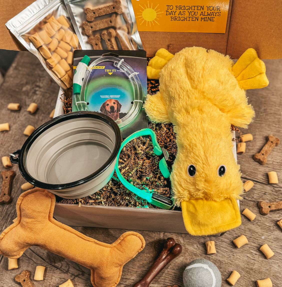 The Tail-Wagging Fun Box