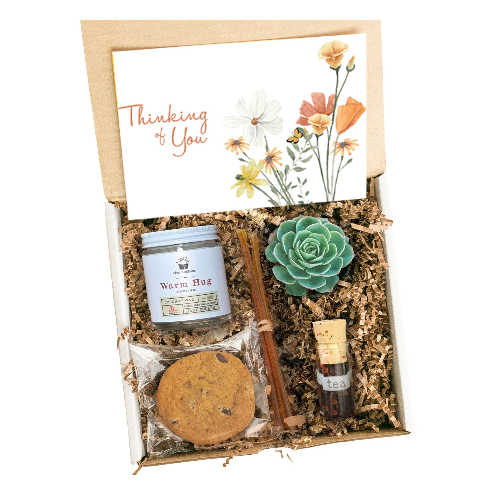 Sunshine Box