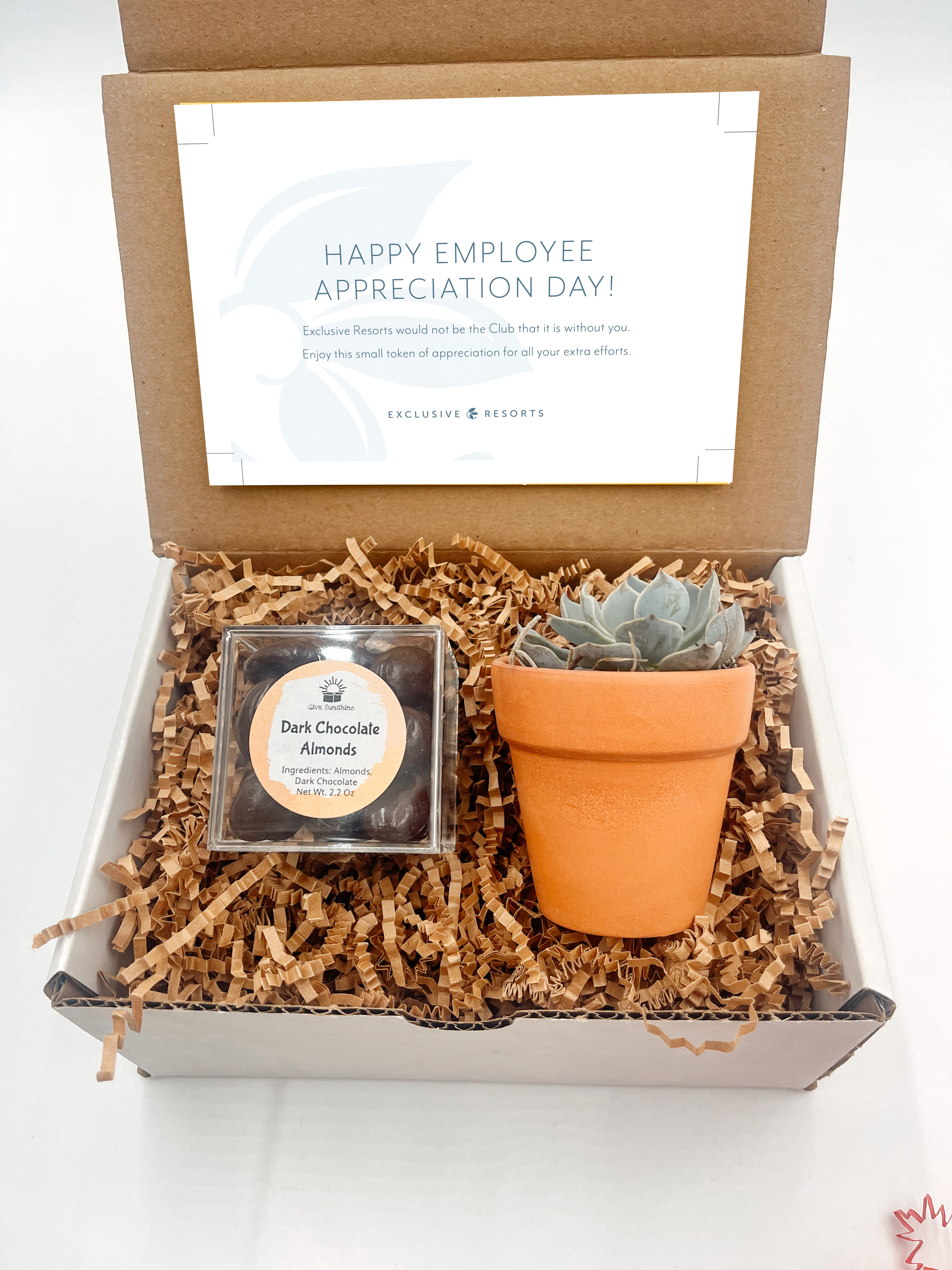 Succulent Gift Set with Chocolate Almonds