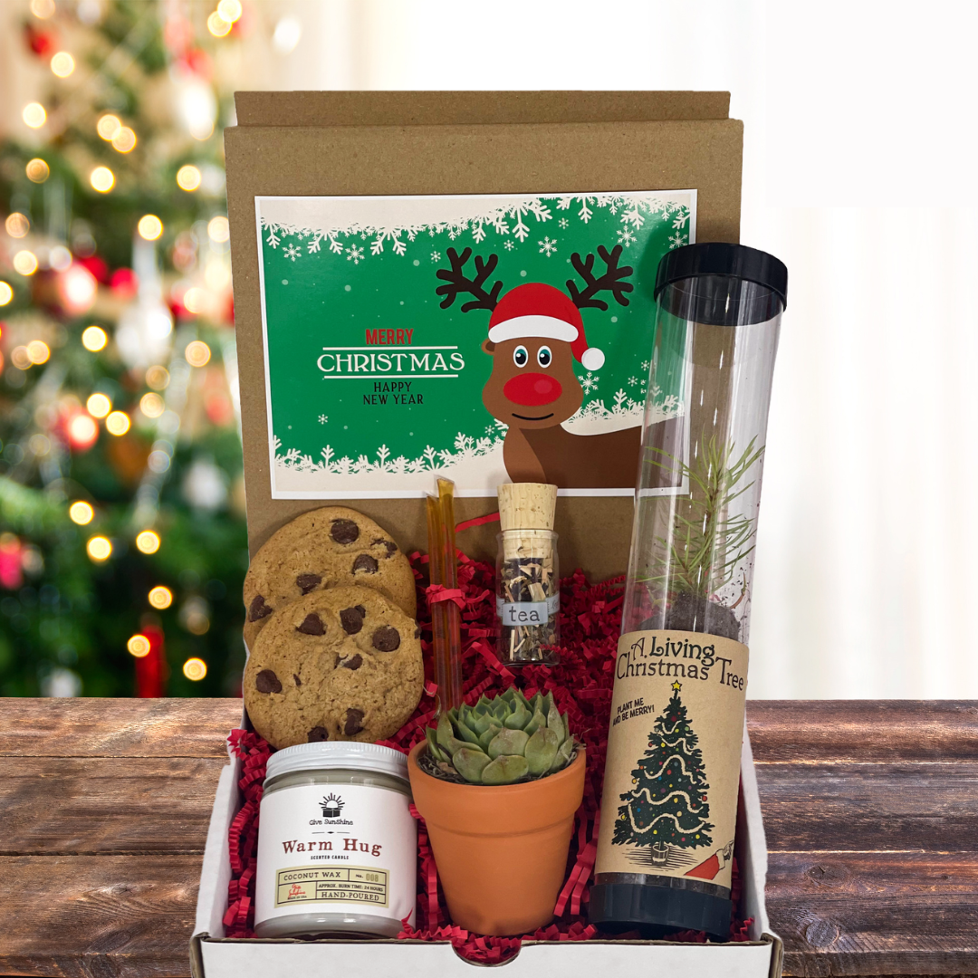 Merry & Bright Gift Box