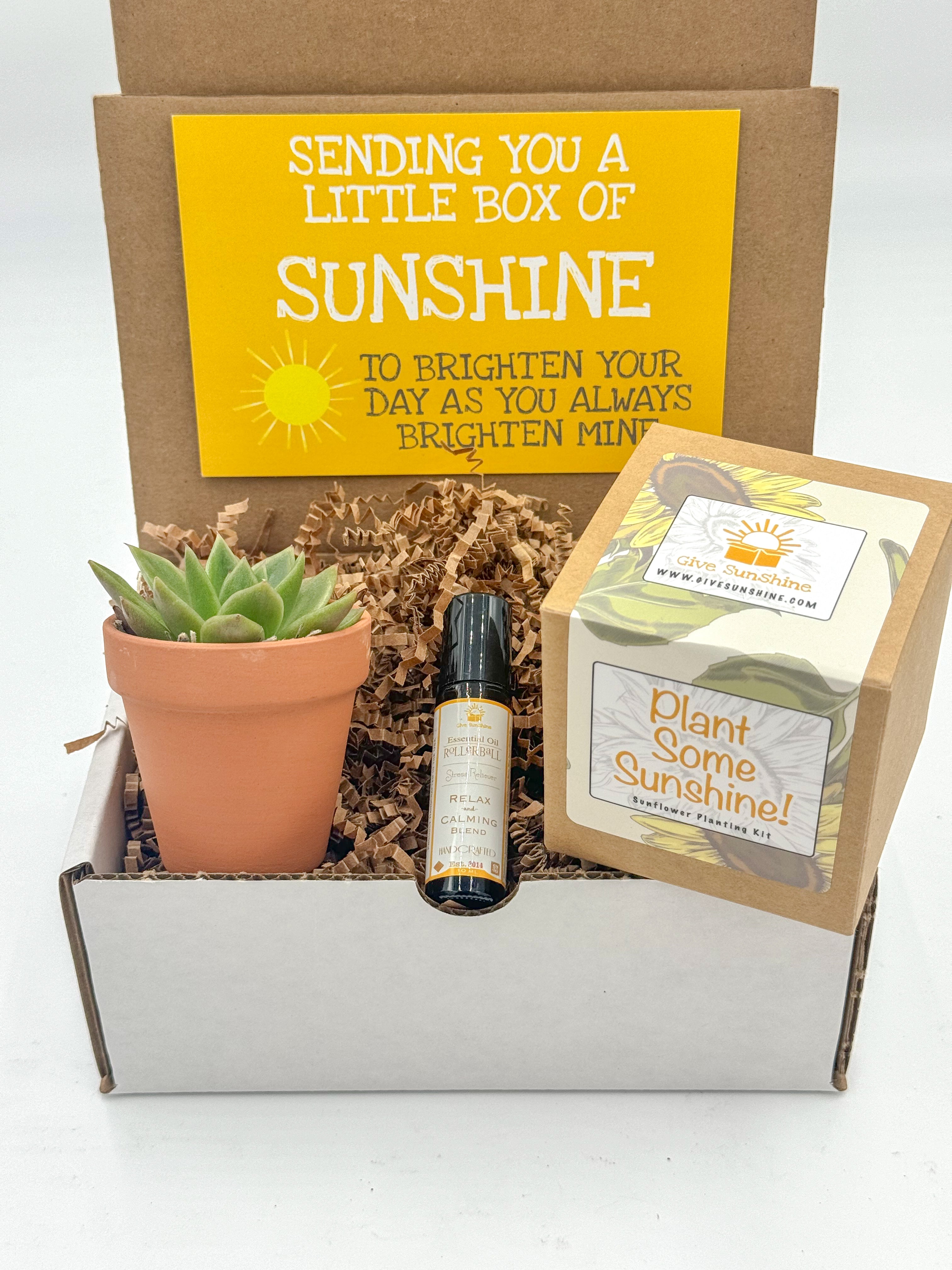 Planting Sunlight Box – Give Sunshine