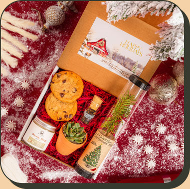 Merry and Bright Box