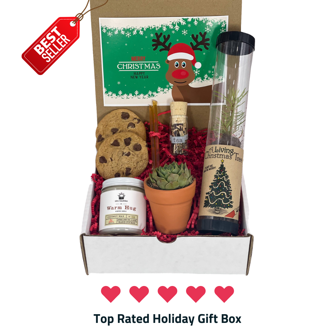 Merry and Bright Gift Set