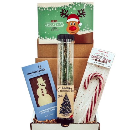 Snowy Cheer Christmas Gift Box