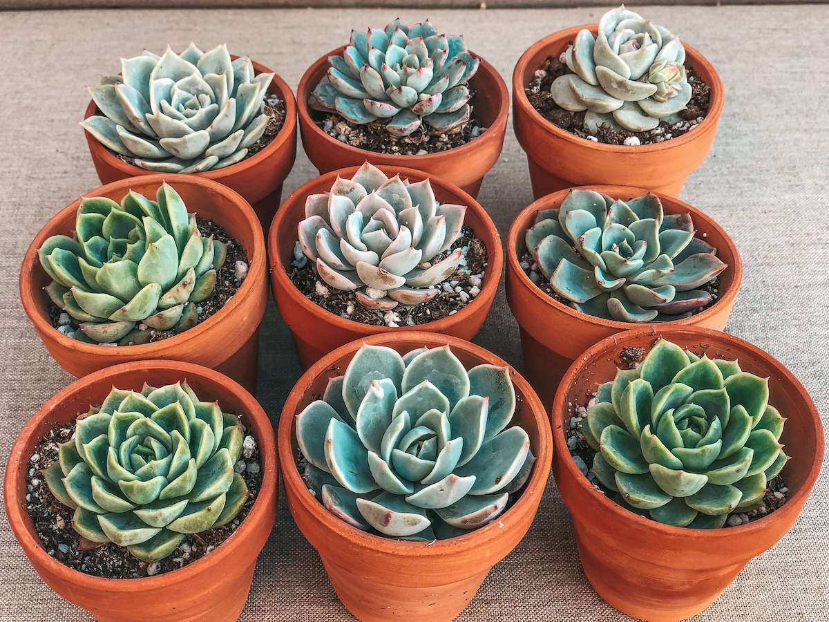 Merry and Bright Box