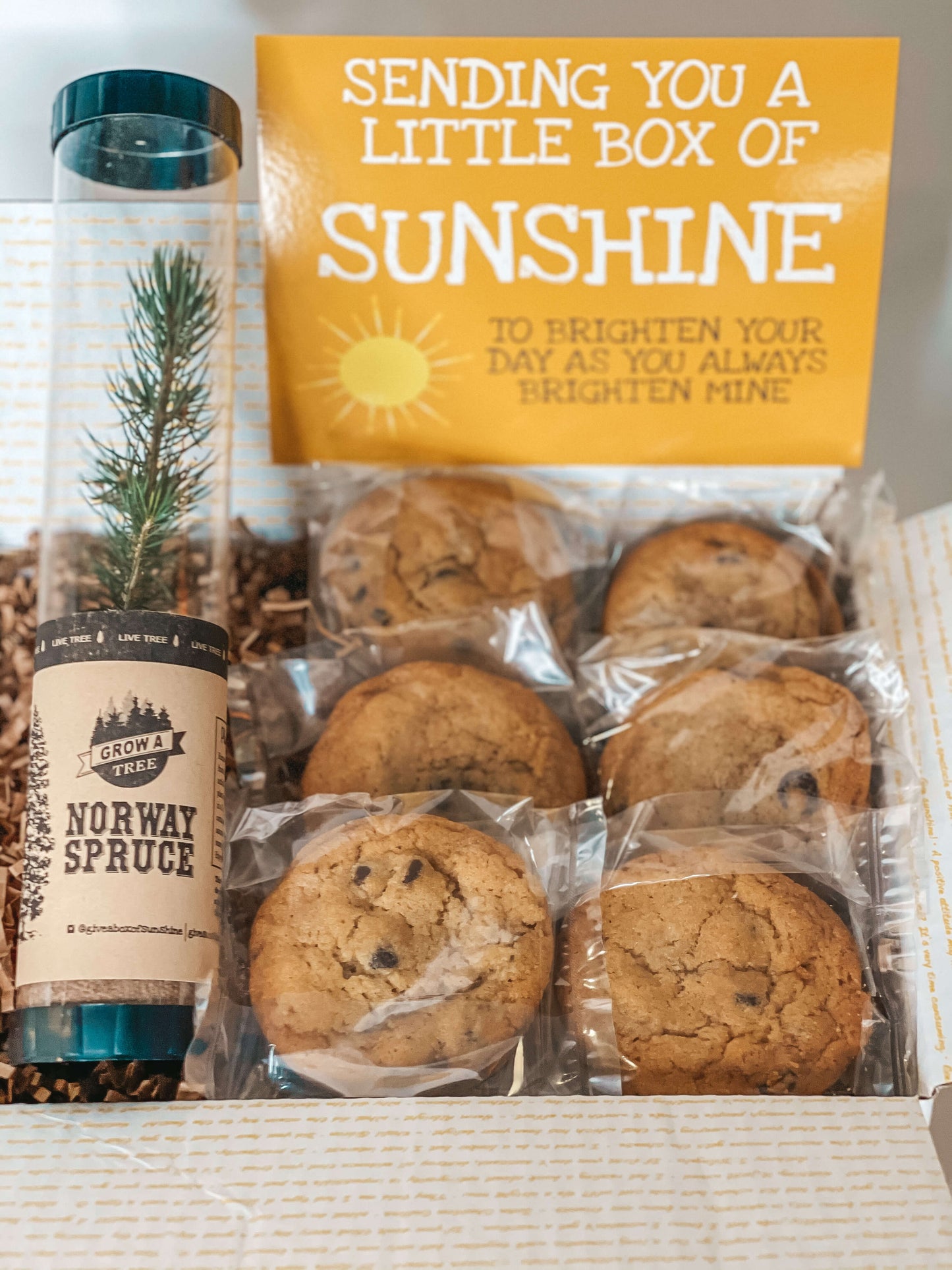 Grow your Sunshine Box