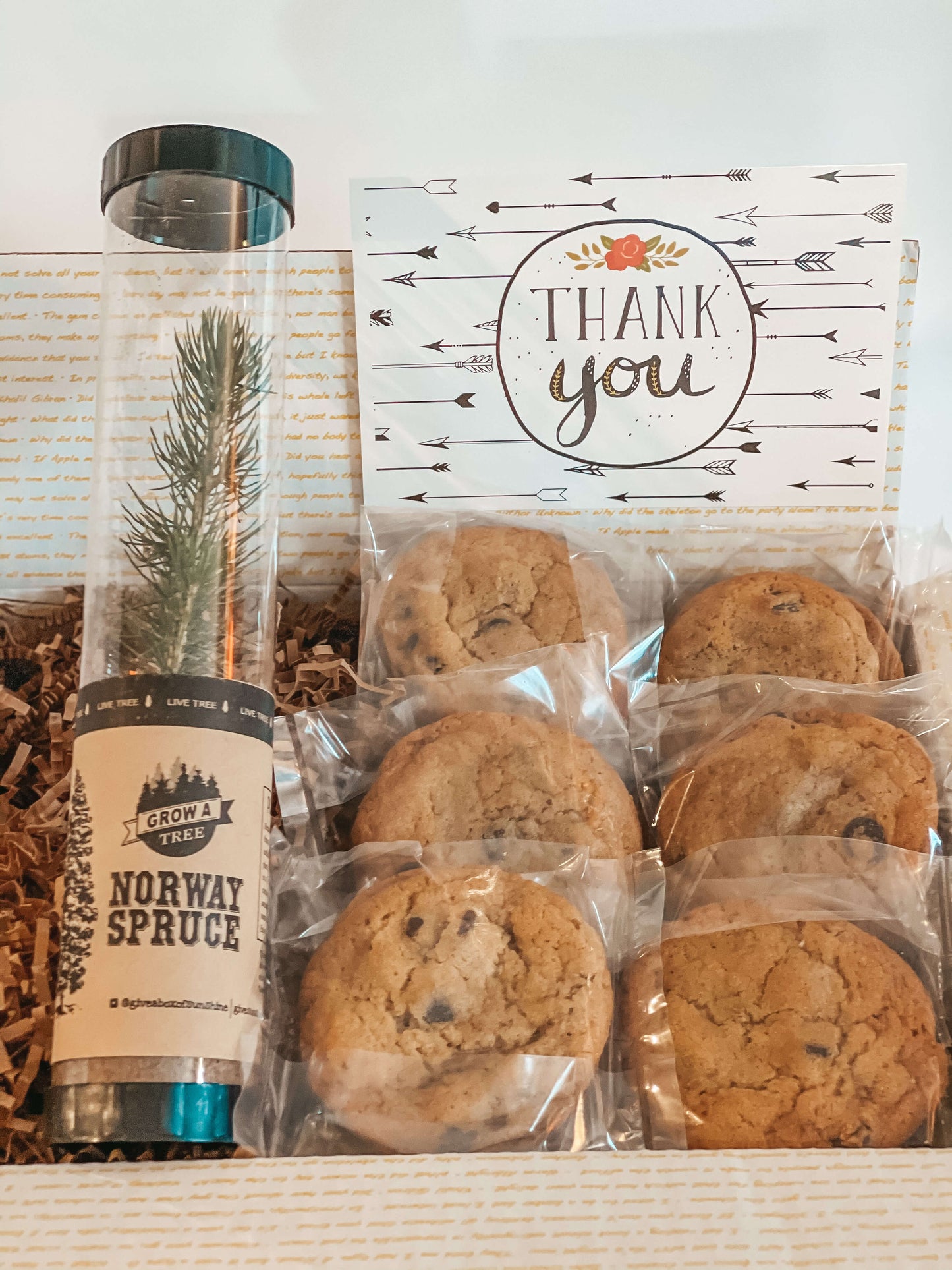 Growing Gratitude Box