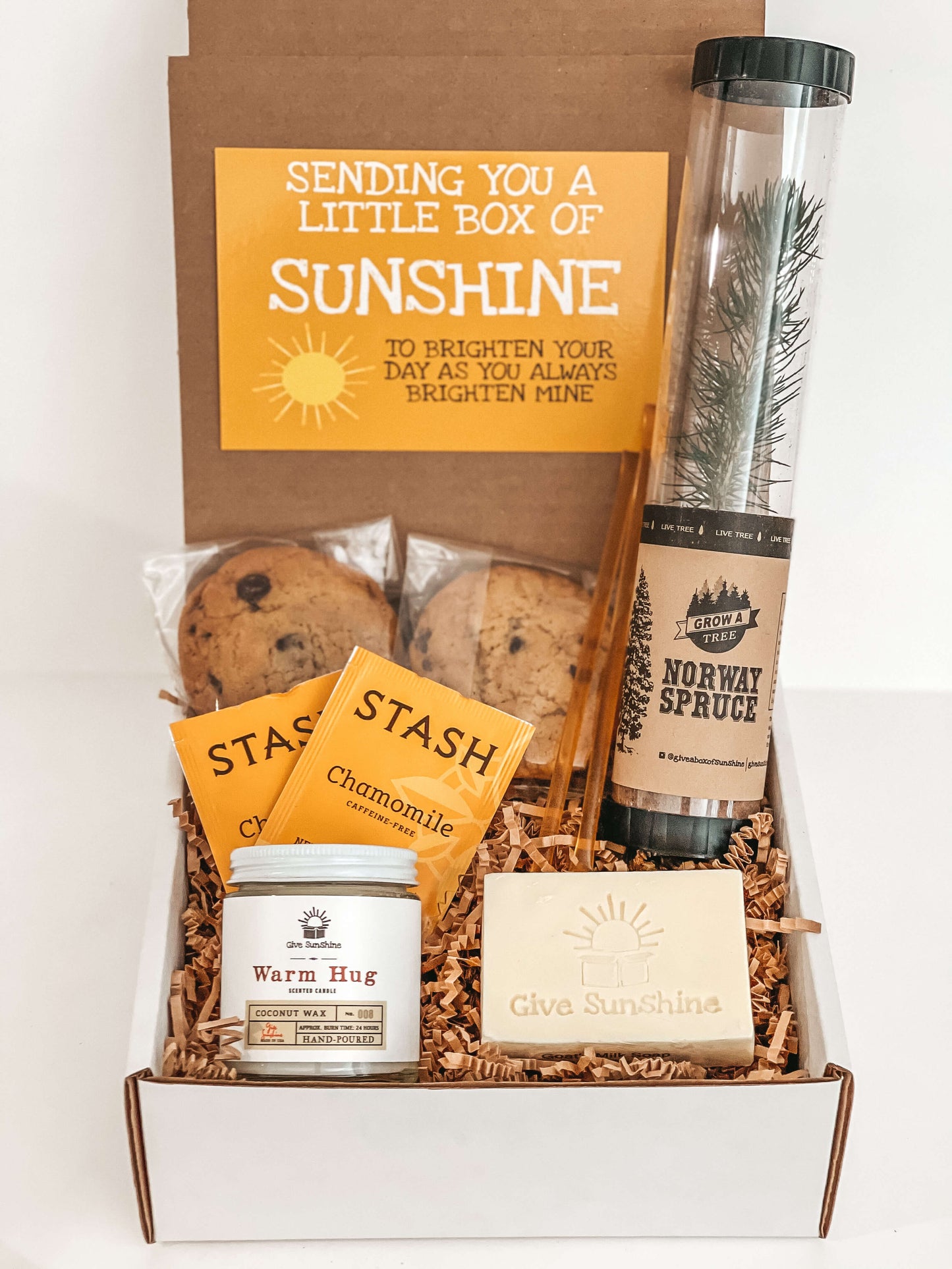 Growing Sunshine Box