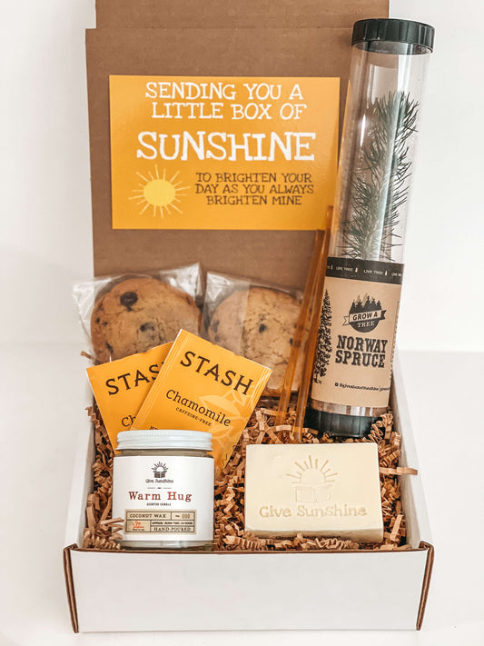 Growing Sunshine Box