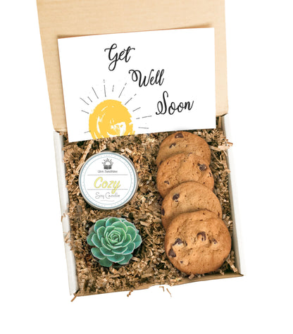succulent get well gift Happiness Box – Give Sunshine